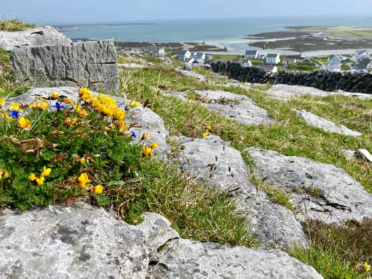 inis_mor_ireland_IMG_5935